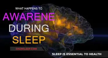 How Awareness Changes During Sleep