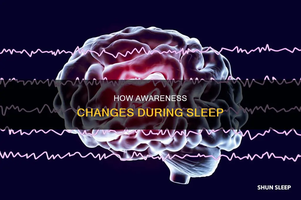 what happens to awareness during sleep