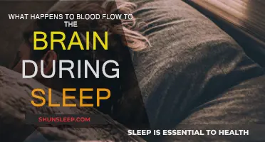 Brain Blood Flow: Sleep's Effect