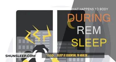 REM Sleep: Body's Restoration and Rejuvenation