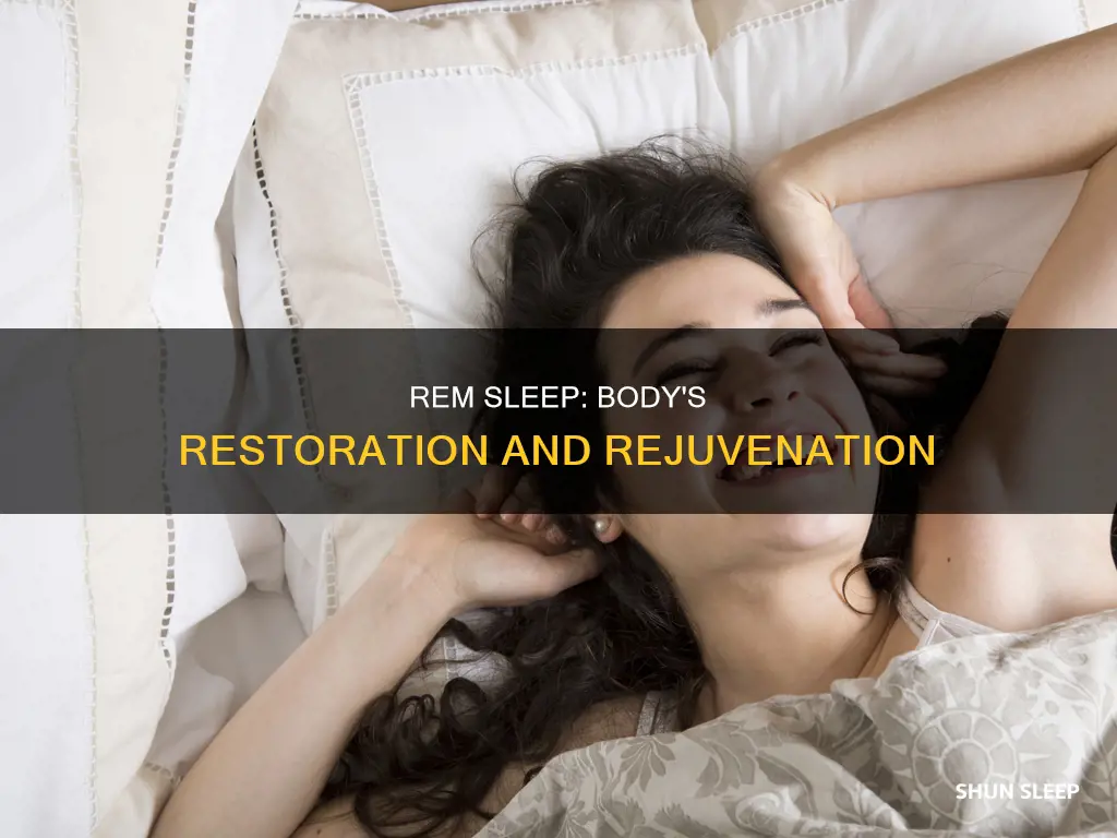 what happens to body during rem sleep