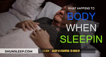 The Body's Overnight Recovery