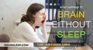 Brain on Sleep Deprivation: What's Happening?
