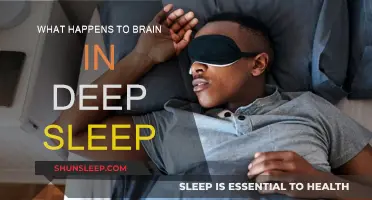 Deep Sleep: Brain's Rejuvenation and Restoration