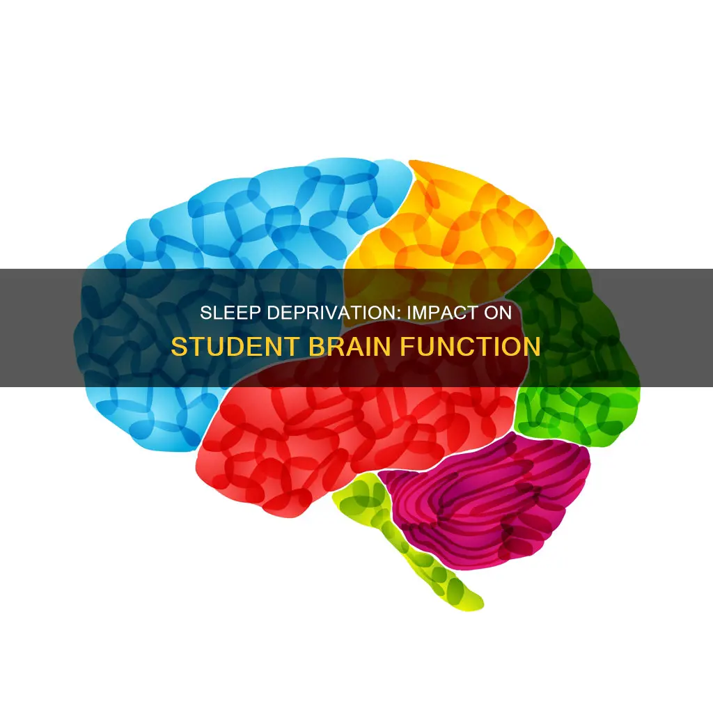 what happens to brain in school with no sleep