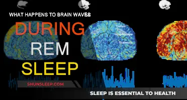 Brain Waves During REM Sleep: What Happens?