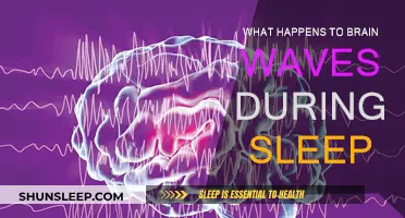 Brain Waves During Sleep: Unconscious Insights