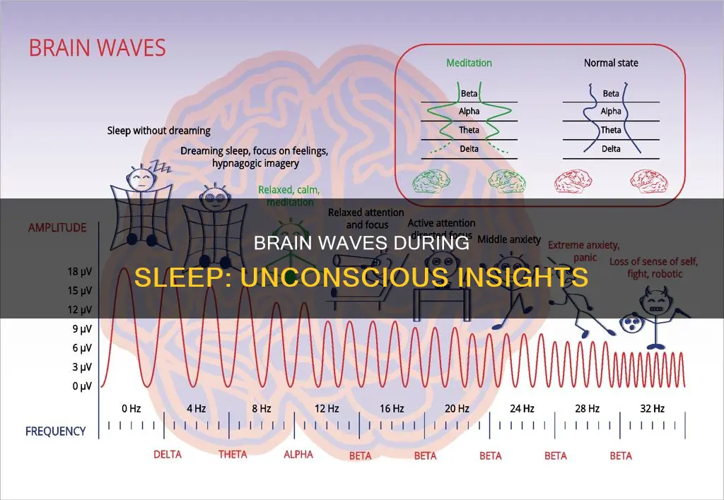 what happens to brain waves during sleep