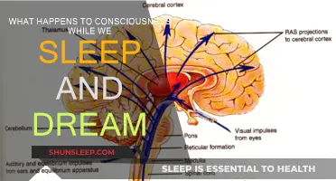 Exploring Consciousness: Sleep, Dreams, and the Mind