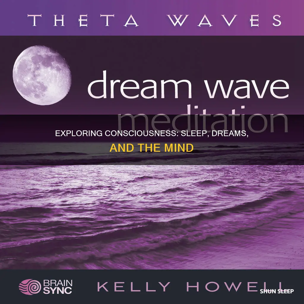 what happens to consciousness while we sleep and dream