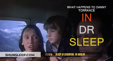 Danny's Journey: Dr. Sleep Explained