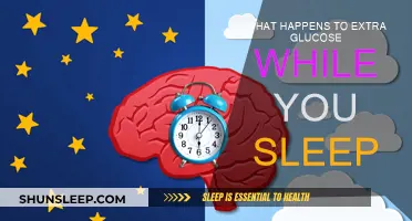 How Your Body Processes Extra Glucose During Sleep