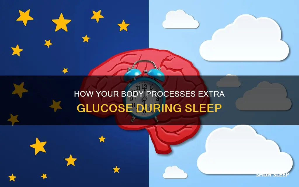 what happens to extra glucose while you sleep