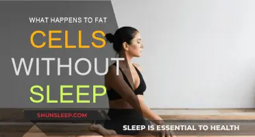Fat Cells and Sleep: A Dangerous Mix