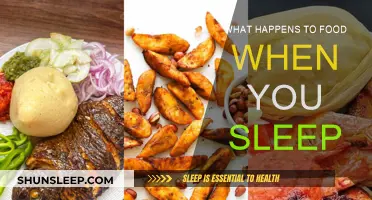 Food and Sleep: What Happens When You Snooze?