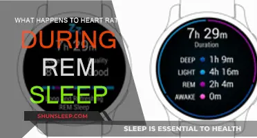 Heart Rate During REM Sleep: What's Happening?