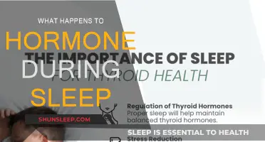 How Sleep Affects Your Hormones