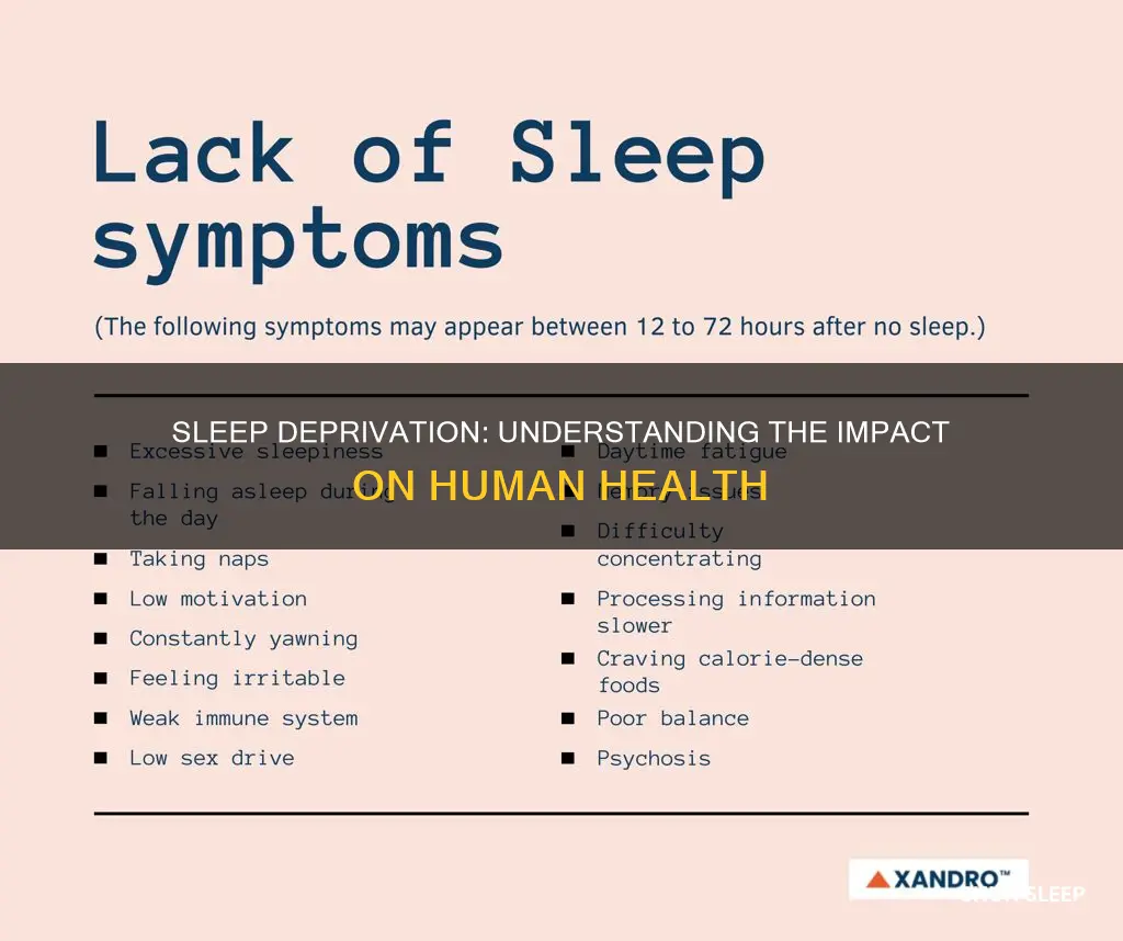what happens to humans without sleep