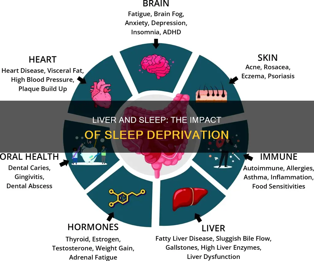 what happens to liver with lack of sleep