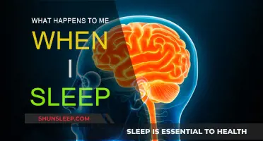 Exploring the Intriguing World of Sleep and Dreams
