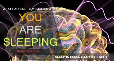 How Sleep Affects Memory: The Brain's Night Shift