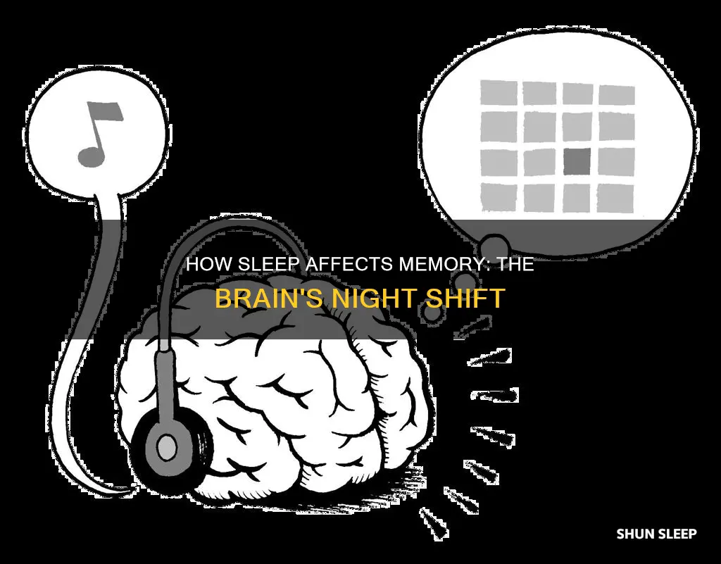 what happens to memories while you are sleeping