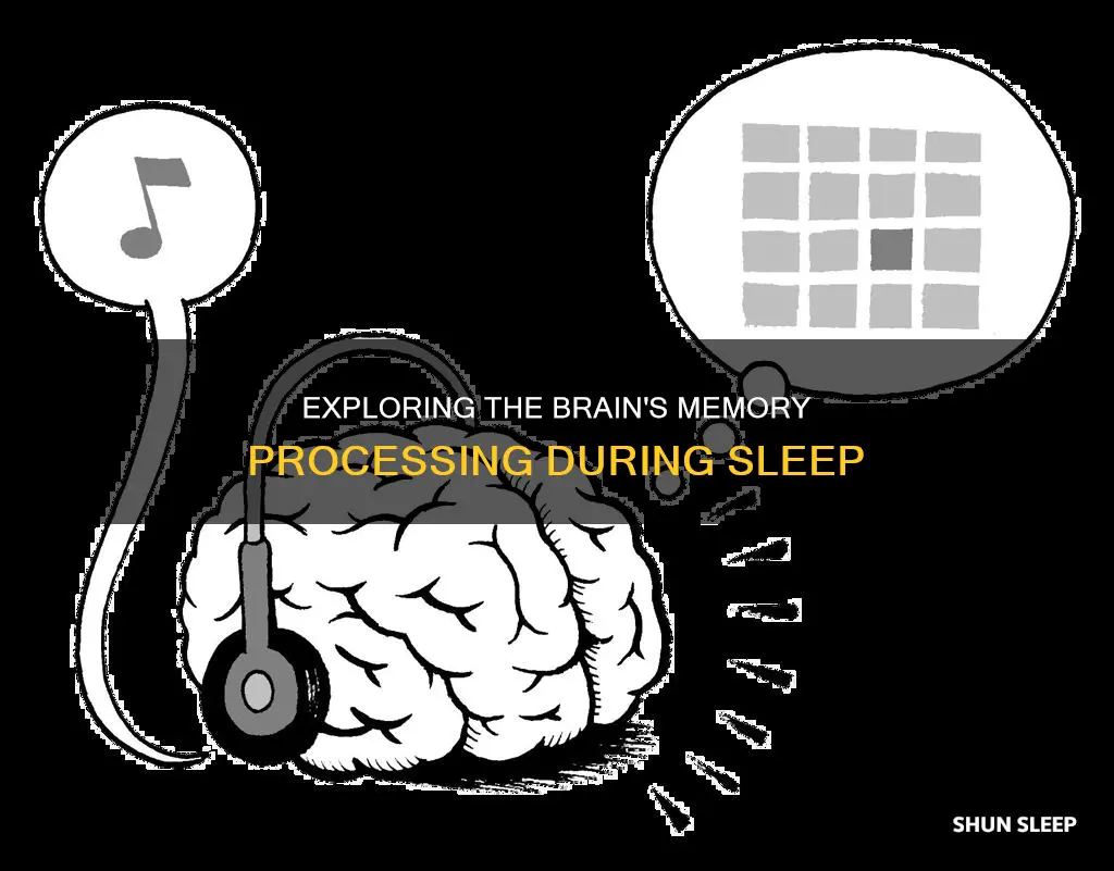 what happens to memories while you sleep
