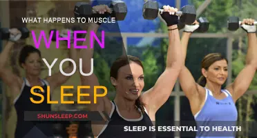 How Sleep Impacts Muscle Recovery and Growth