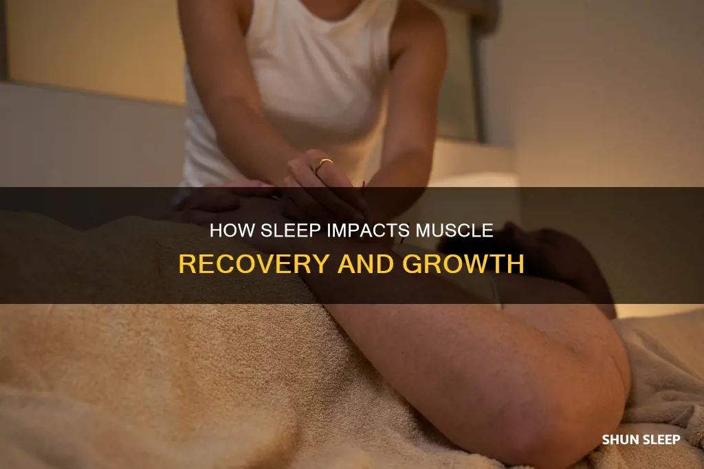 what happens to muscle when you sleep