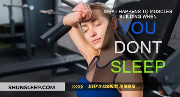 Muscle Recovery: Sleep Deprivation's Impact