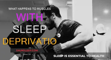Sleep Deprivation: Its Impact on Muscle Health