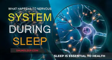 Calming the Nervous System Through Sleep