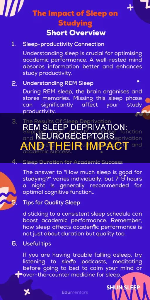 what happens to neuroreceptors without enough rem sleep