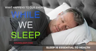 The Science of Sleep: Energy Restoration