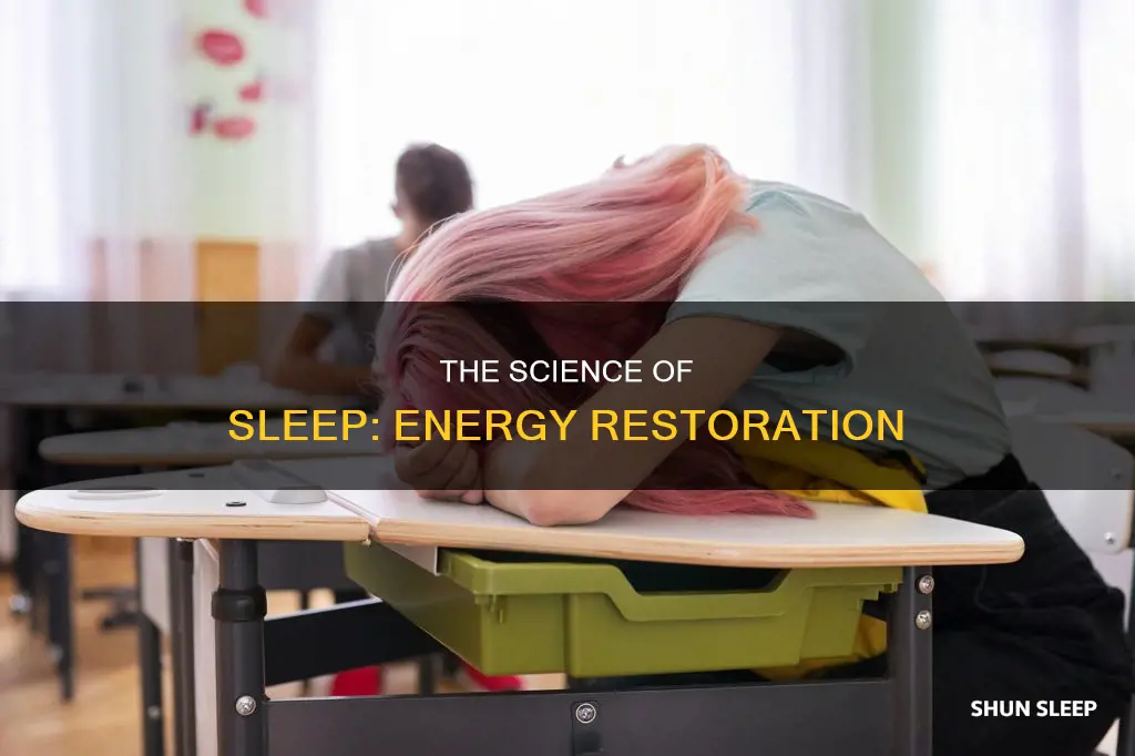 what happens to our energy while we sleep