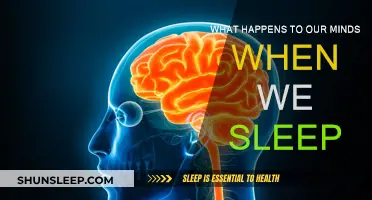 Exploring the Mind's Journey During Sleep