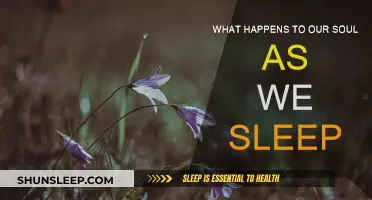 Souls' Journey: Sleep and the Unknown