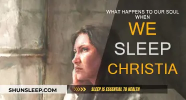 Exploring the Christian Soul's Sleep State