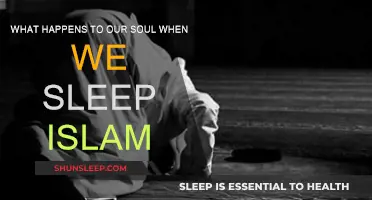 Soul's Journey: Sleep in Islamic Perspective