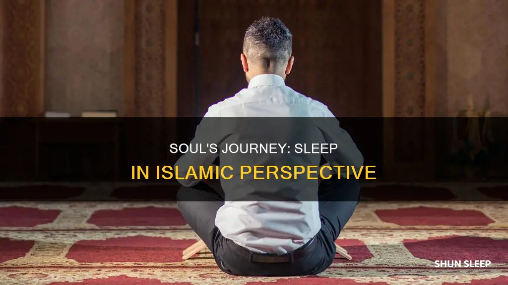 what happens to our soul when we sleep islam
