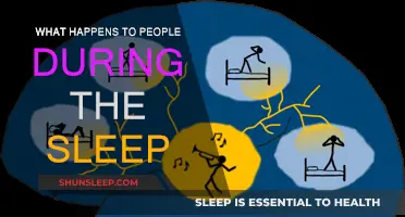 The Science of Sleep: Brain Activity and Body Functions