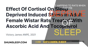 Sleep Deprivation: Its Impact on Rats' Health and Behavior
