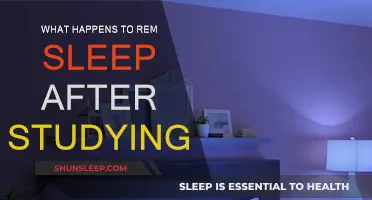 Studying Impacts REM Sleep: What You Need to Know