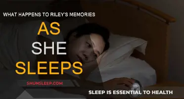 Exploring Riley's Dream World: Unraveling Her Memories