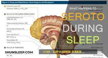 Serotonin and Sleep: What's the Connection?