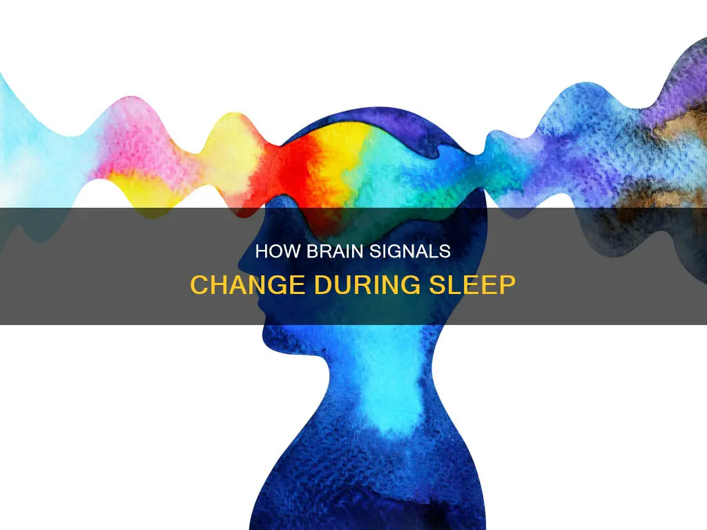 what happens to signals during sleep