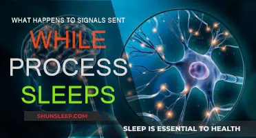 Signals and Sleeping Processes: What's the Deal?