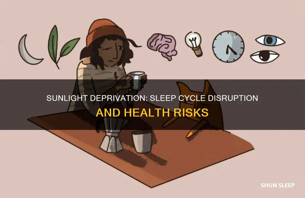what happens to sleep cycle in absence of sunlight