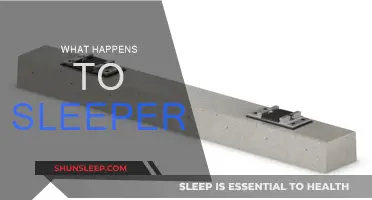 Sleepers: What Happens to the Body and Mind?