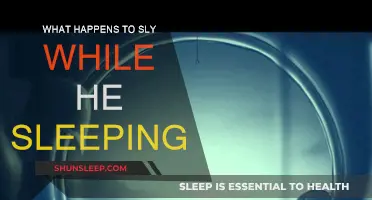 A Sly Sleeper's Adventure: What Unfolds?